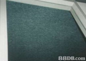 美意清潔公司 一站式家居清潔與滅蟲解決方案